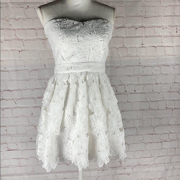 paravenue Dresses & Skirts - 5/$15 PARVENUE EMBROIDERED LACE MINI DRESS